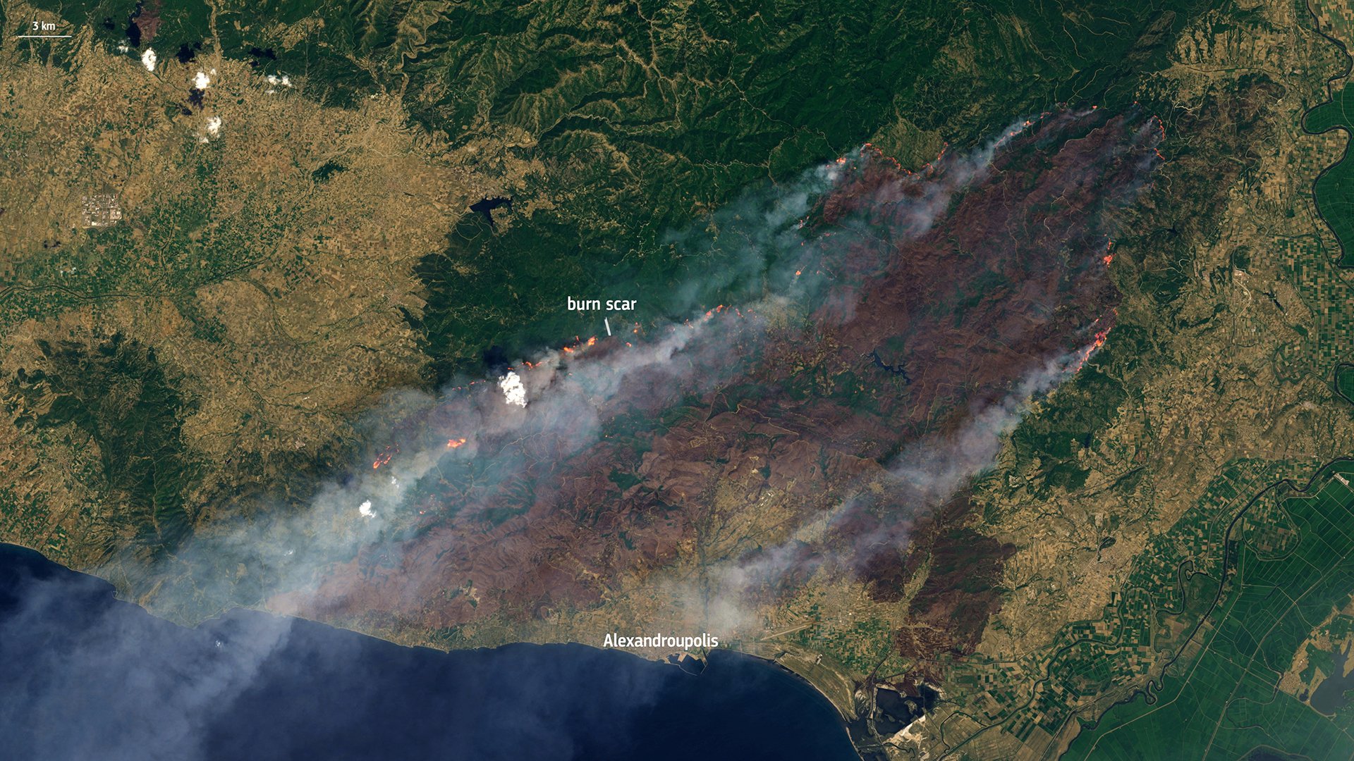 2023-08-25T115212Z_580258076_RC2ZU2A5GM5H_RTRMADP_3_EUROPE-WEATHER-GREECE-WILDFIRE.jpg