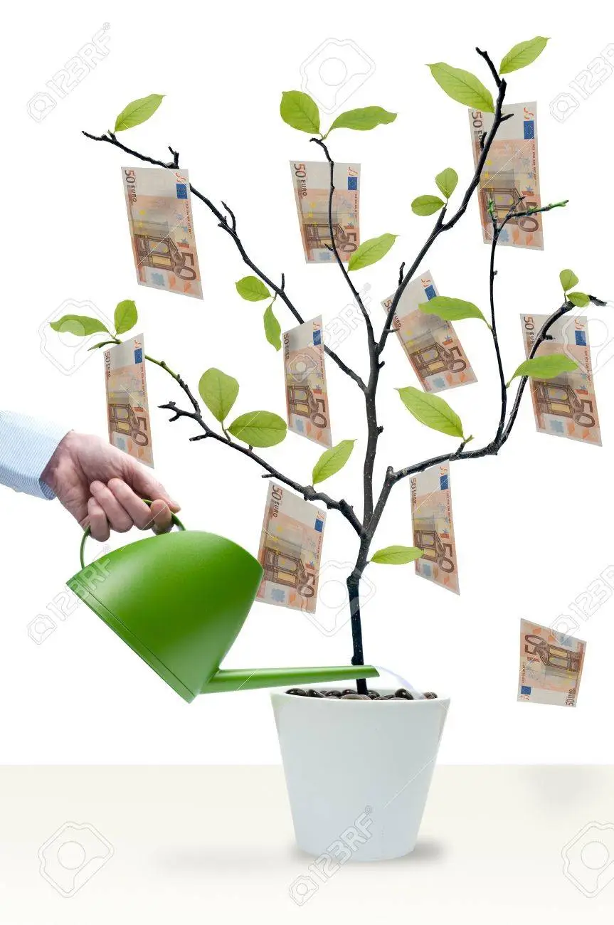 9594313-watering-the-money-tree-with-50-euro-notes.png