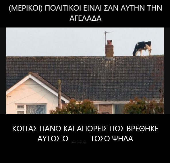 αγελαδα.jpg