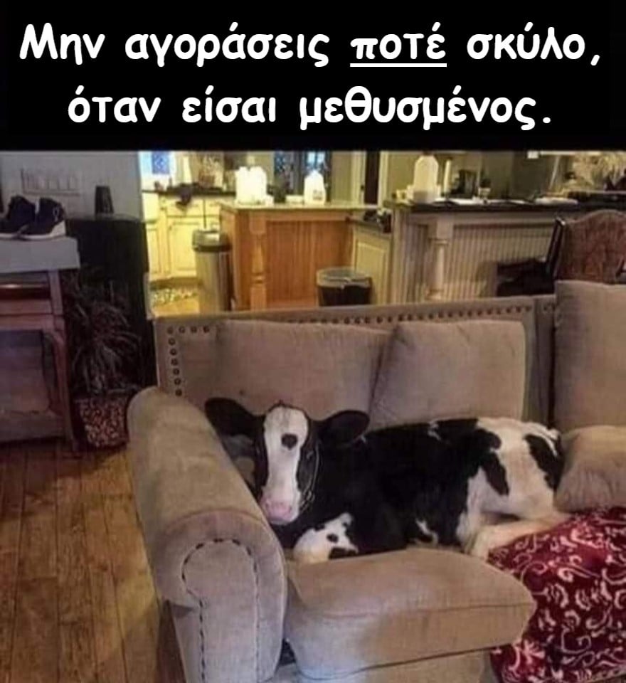 Αγορά σκύλου.jpg