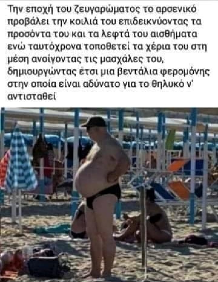 Αρσενικό.jpg