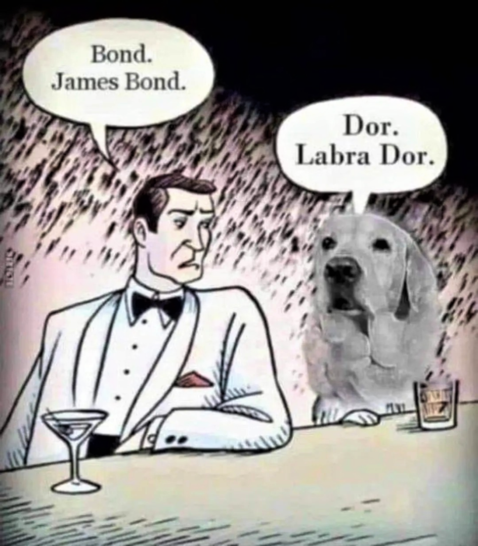 Bond & Dor.png