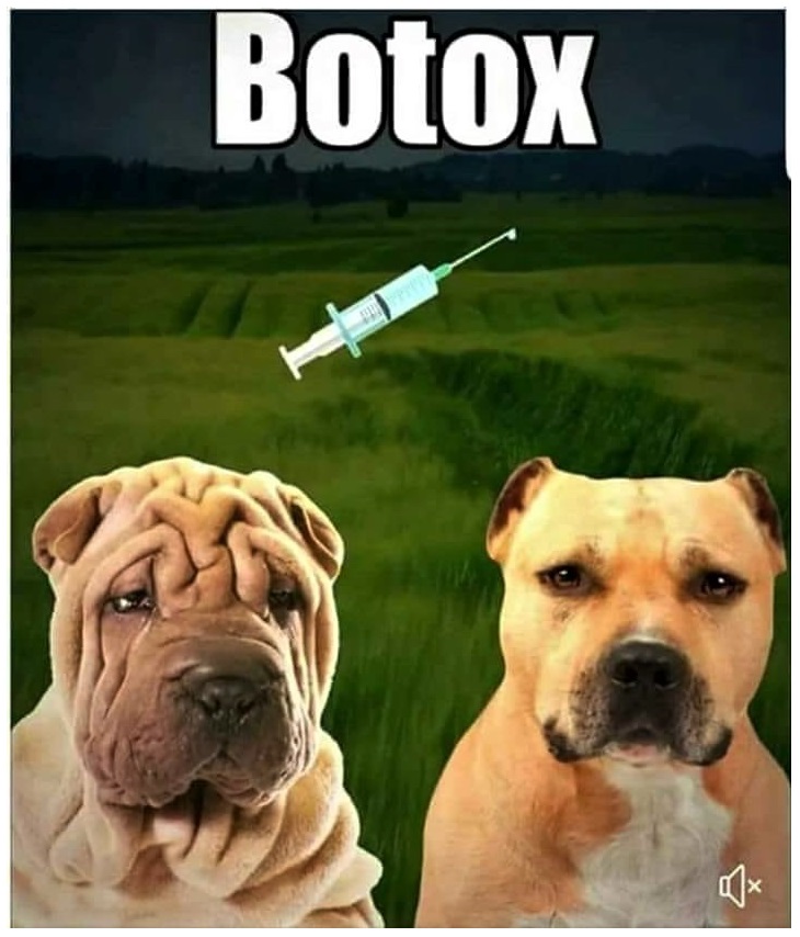 Botox.jpg