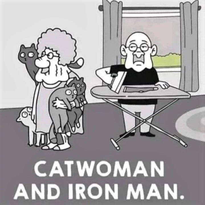 Catwoman - Iron Man.jpg