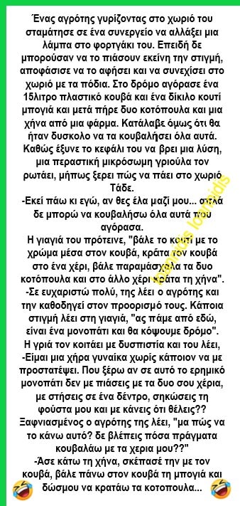 χηνα κοτοπουλα.jpg