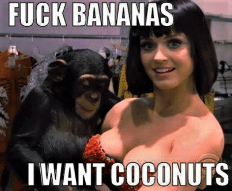 coconuts.png