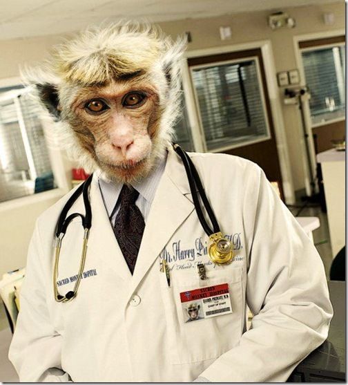 Doctor-Monkey.jpg