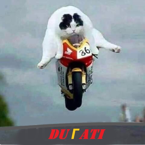 DUCATI.jpg