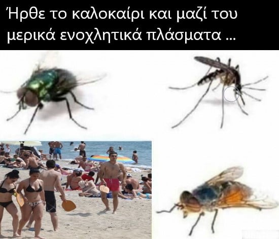 ενοχλητικα.jpg