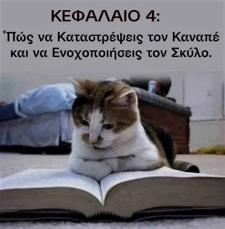 Ενοχοποίηση.jpg