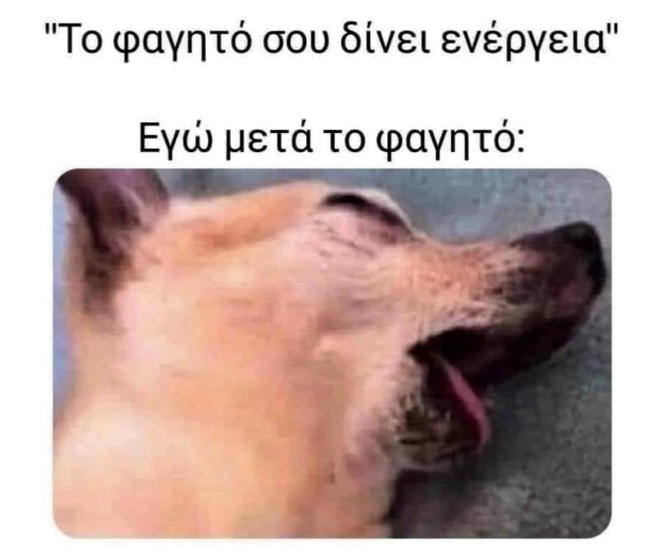 φαγητό.jpg