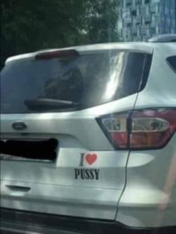 Ford Pussy.jpg