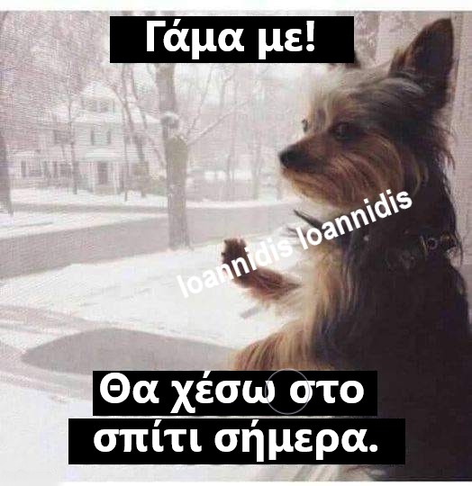 γαμα me.jpg