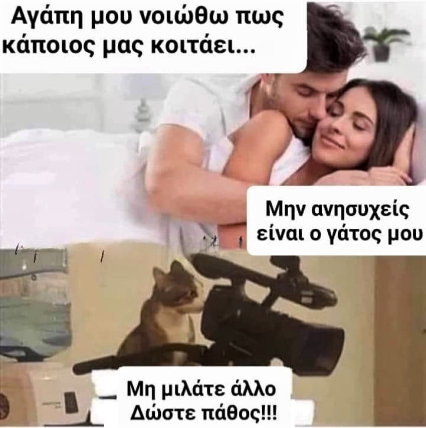 Γάτος.jpg