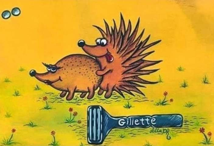 gillette.jpg