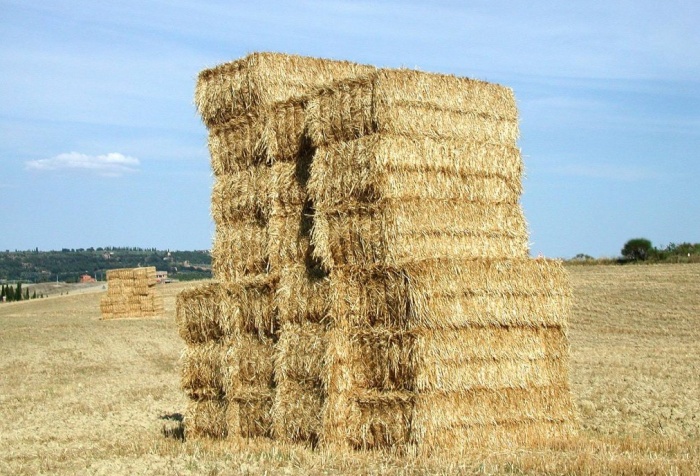 hay-yellow-bale.jpg