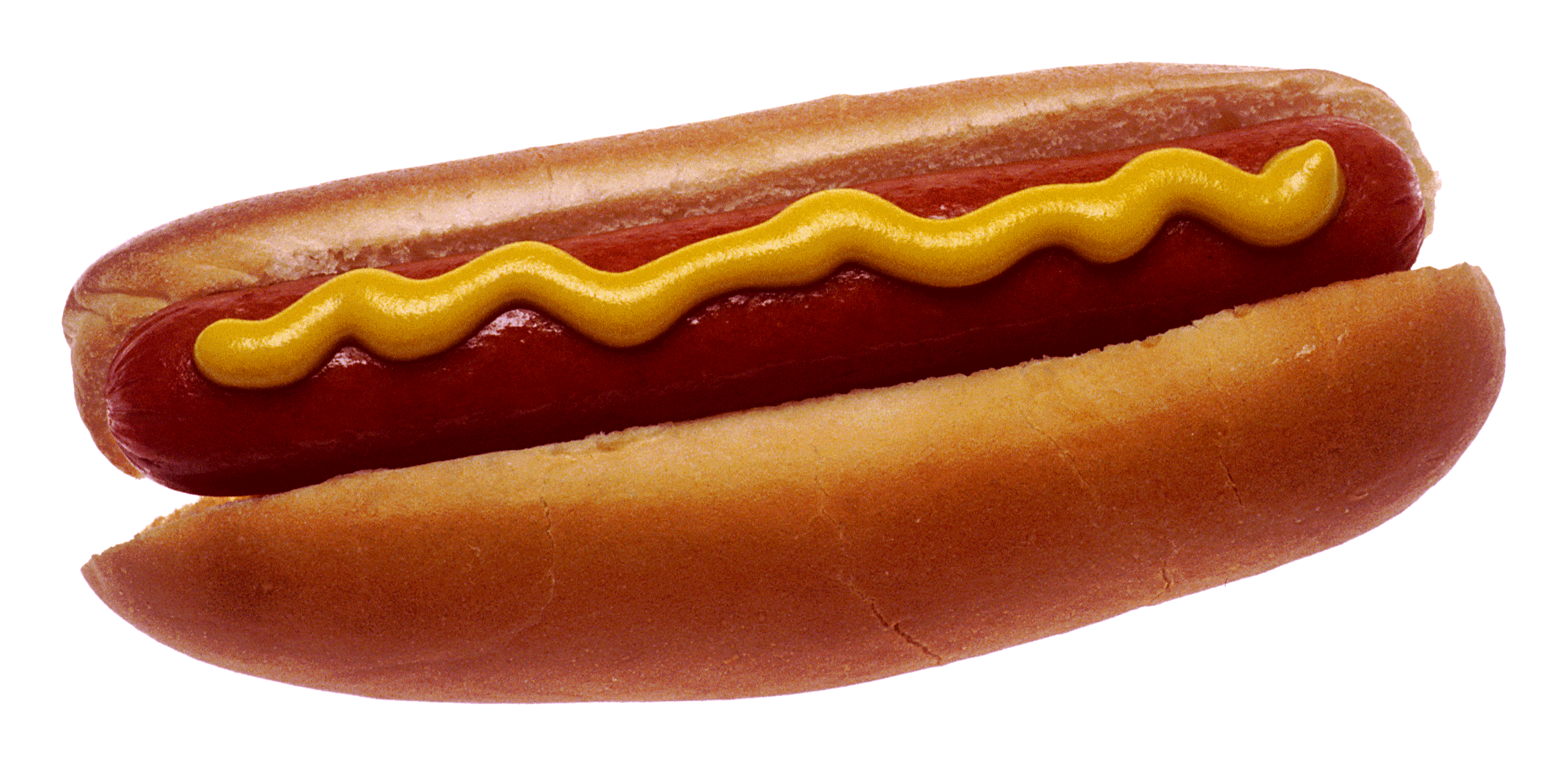 Hot_dog_with_mustard.png