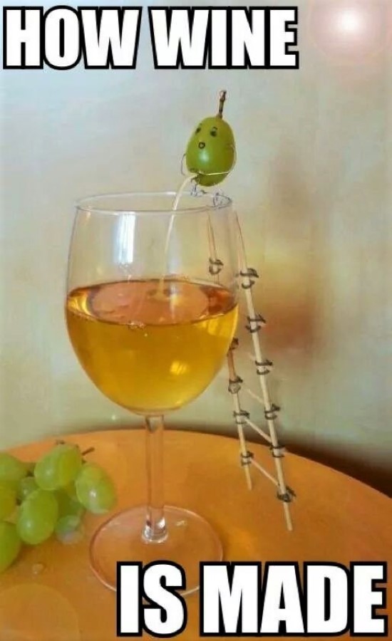 How wine is made.jpg