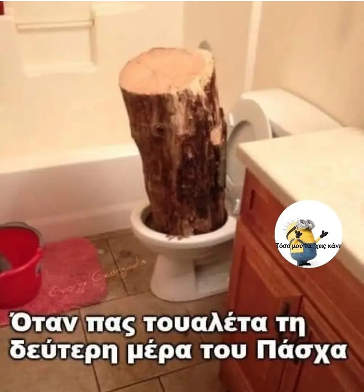 IMG_20250423_093152.jpg