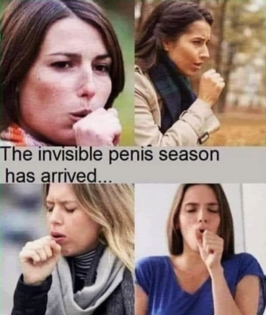 invisible penis season.jpeg