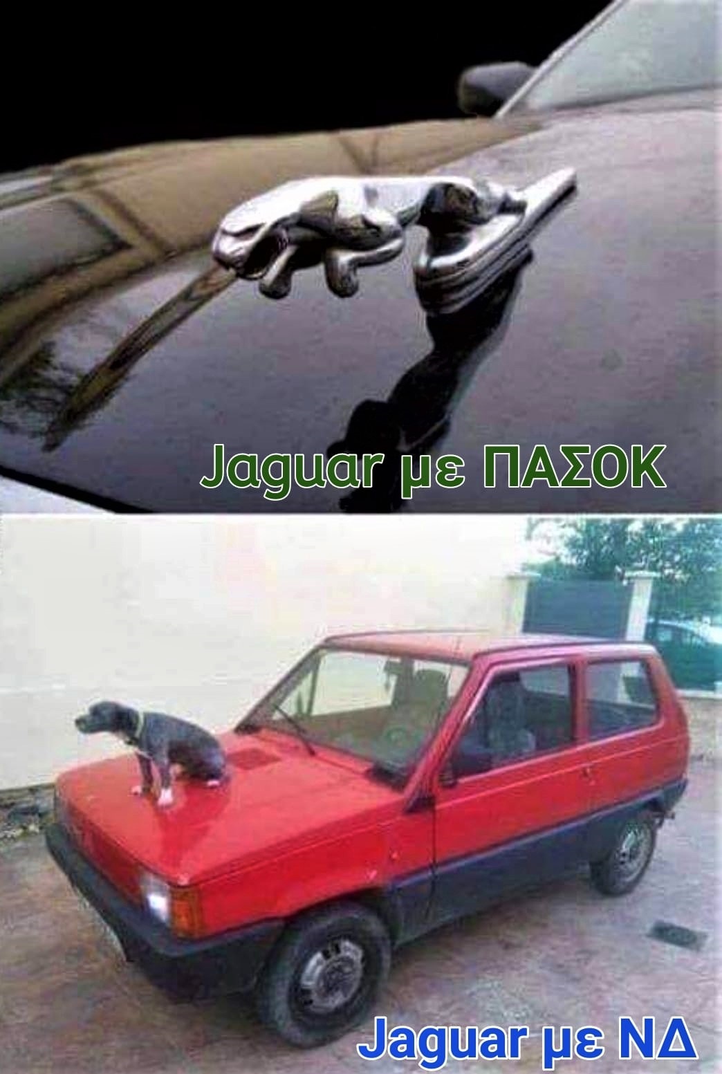 jaguar.jpg