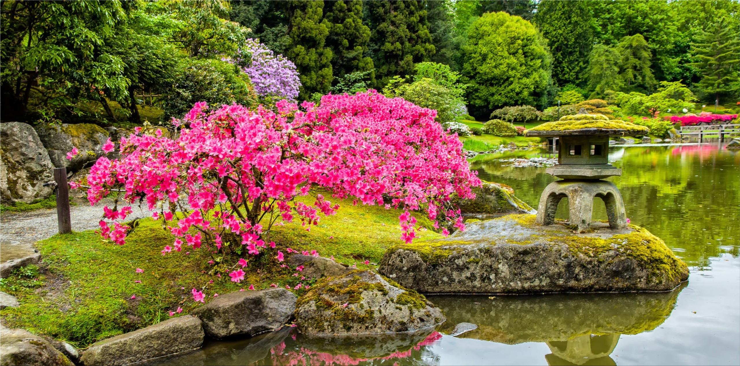 Japanese-Zen-gardens-ia21.jpg