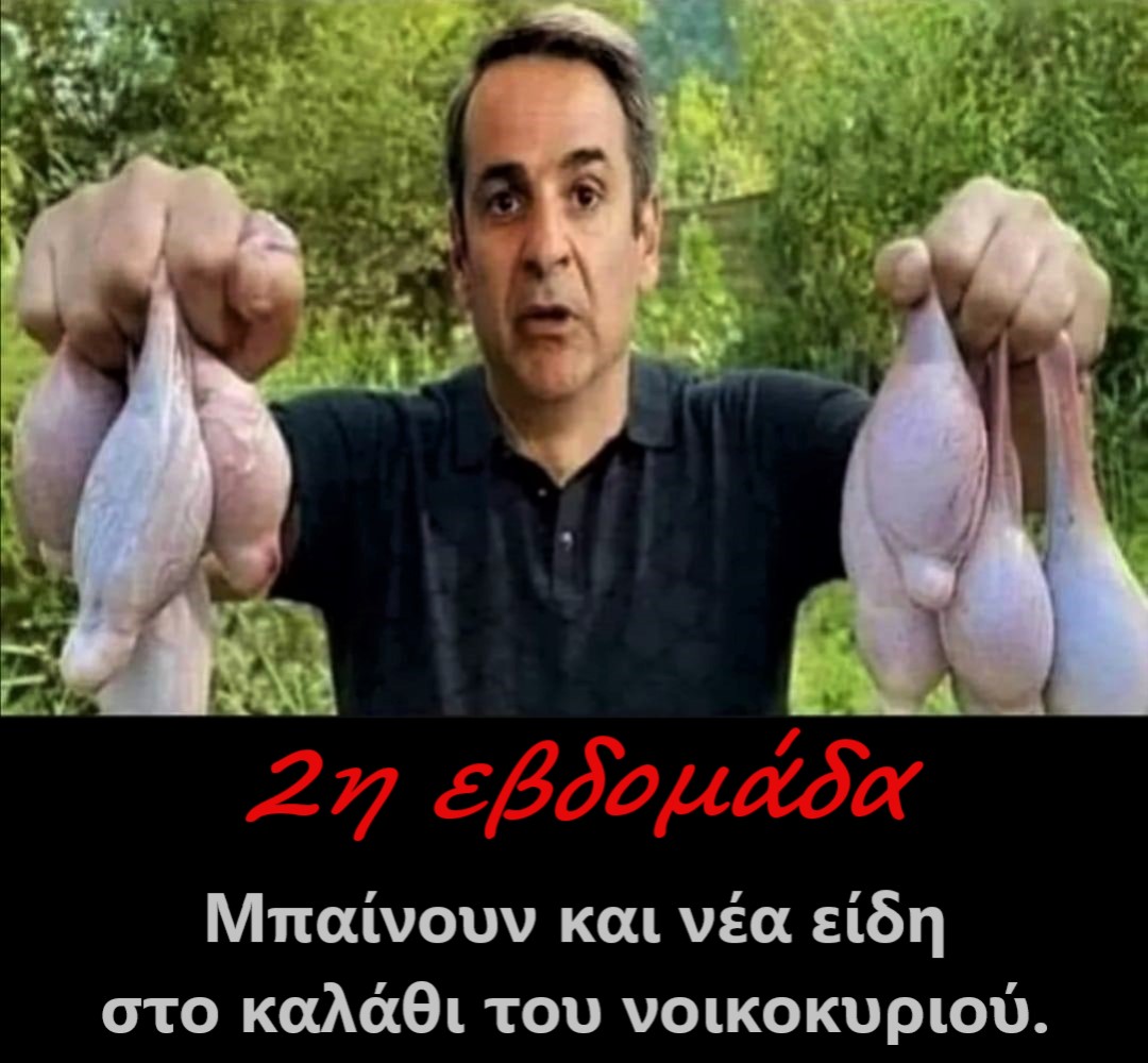 Καλάθι-2η εβδομάδα.jpg