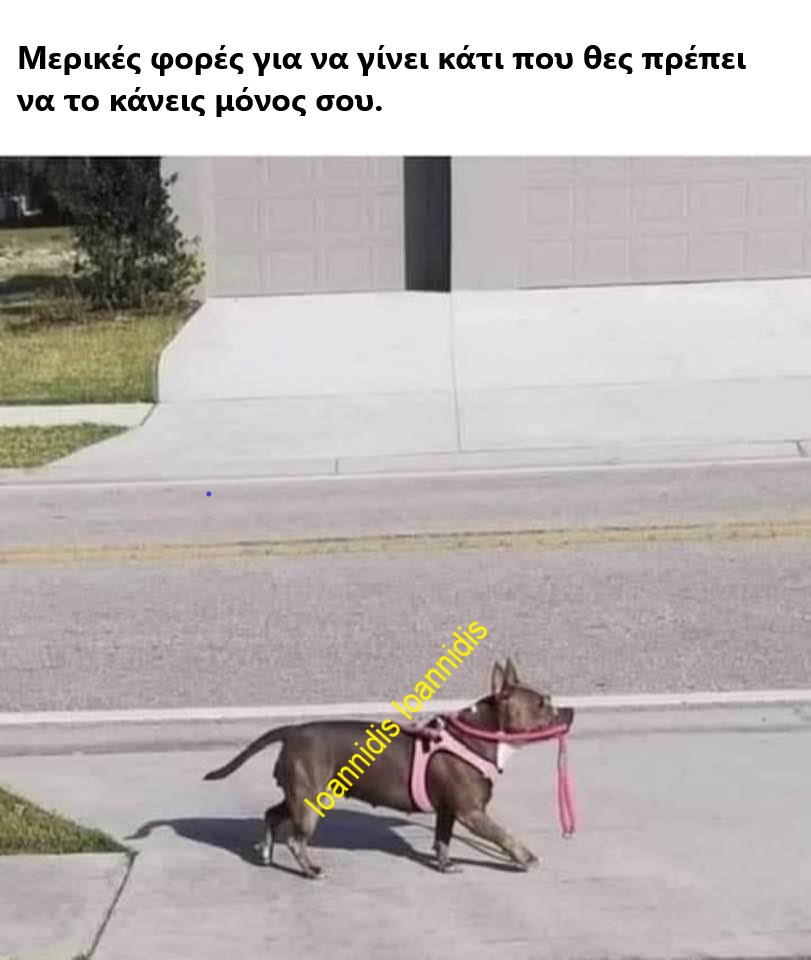 κανεις μονο σου.jpg