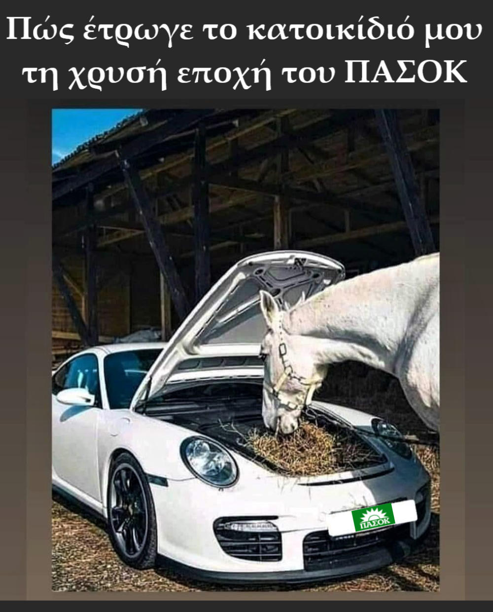 Κατοικίδιο με ΠΑΣΟΚ.png