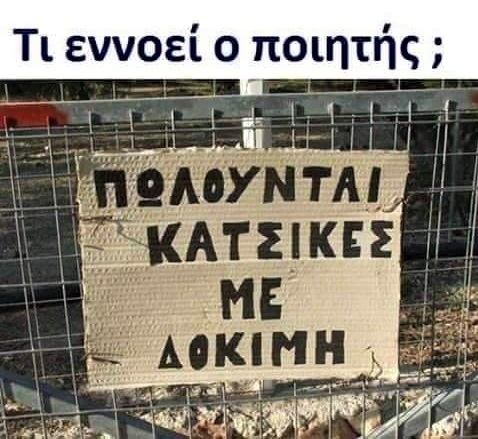 κατσίκες με δοκιμή.jpg