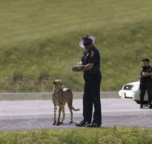 Κλήση.jpg