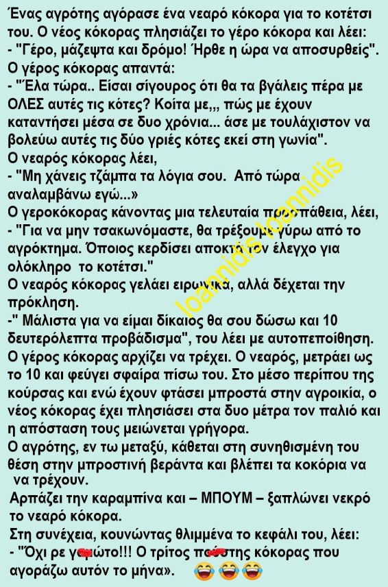 κοκορια.jpg