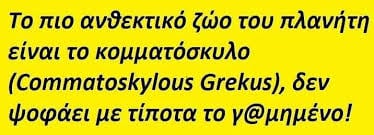 κόπρος.jpg