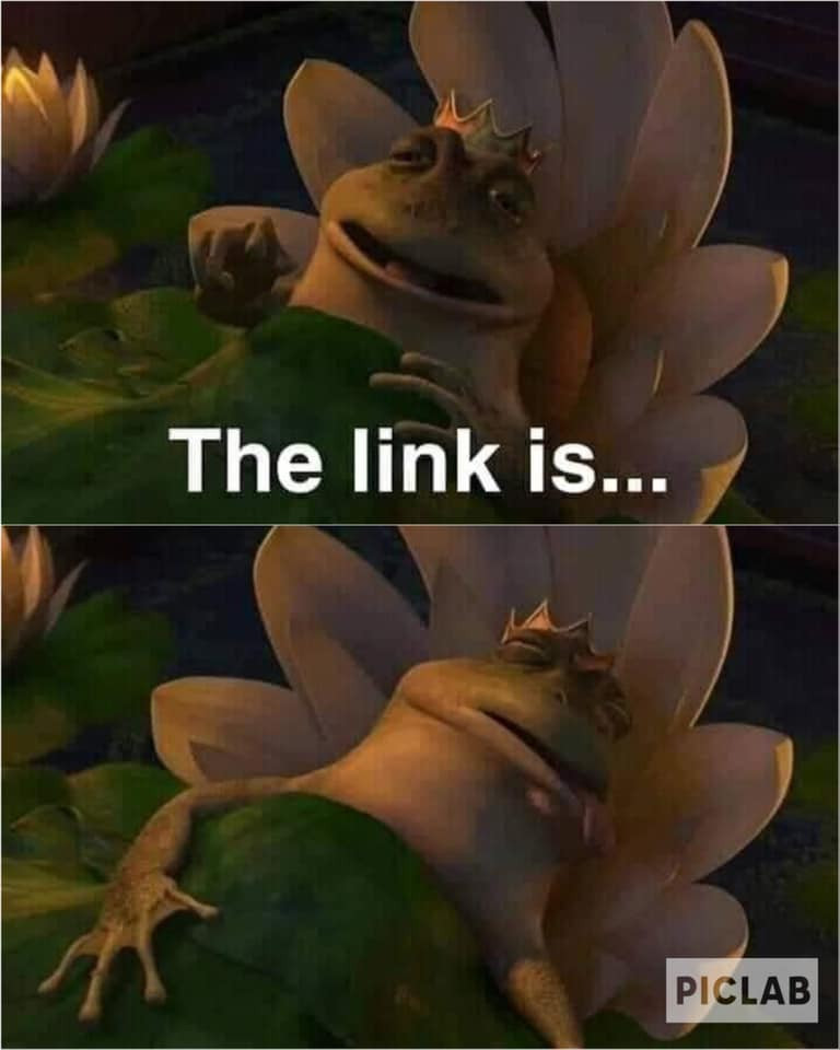 link1.jpg