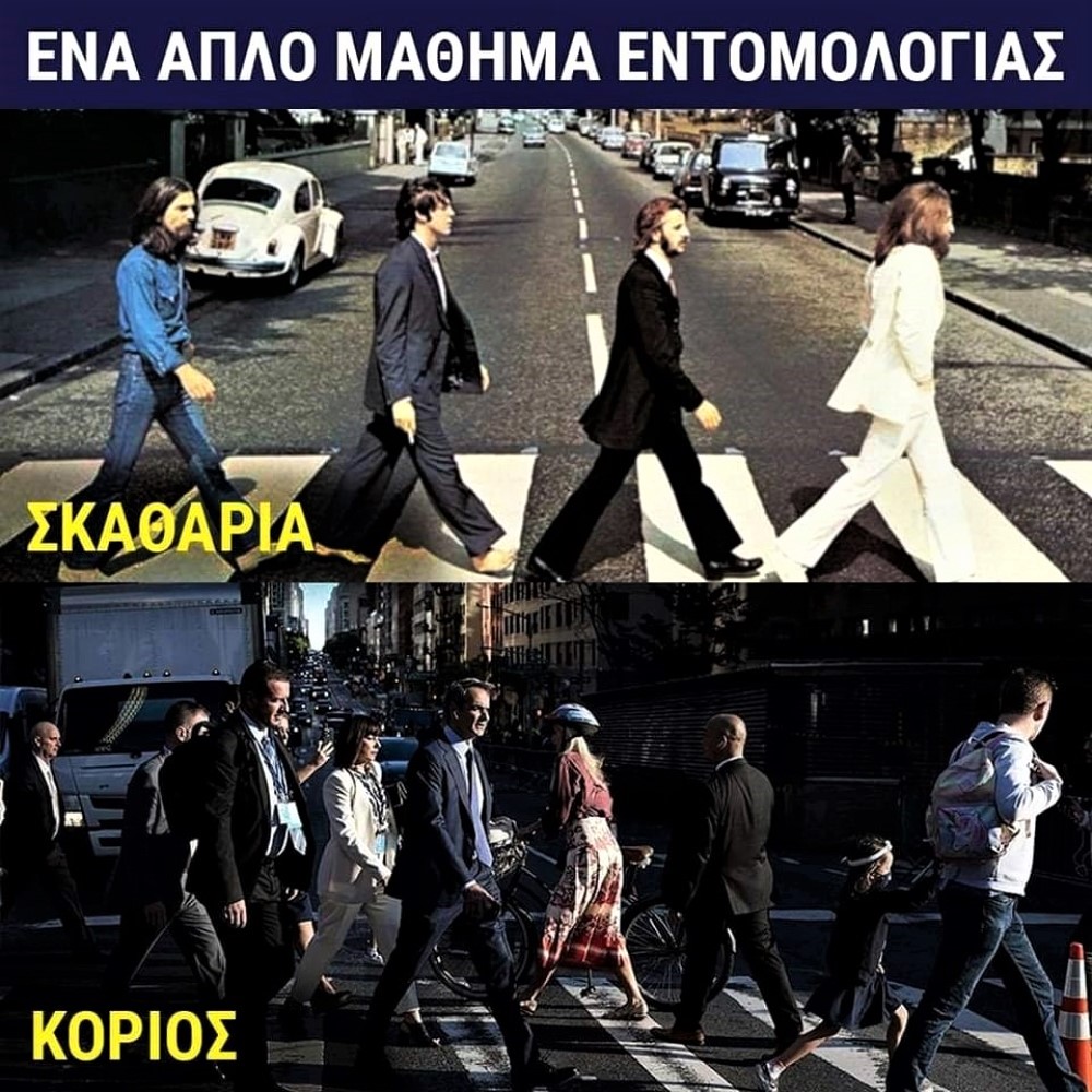 Μάθημα εντομολογίας.jpg