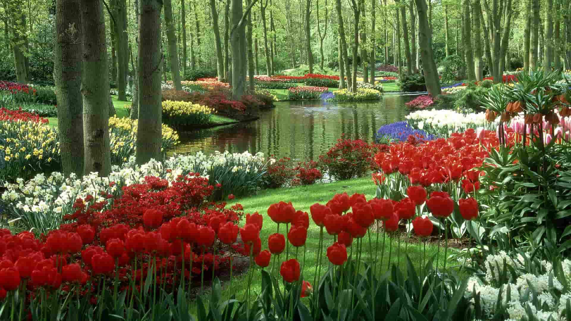 most-beautiful-gardens-in-the-world-1.jpg