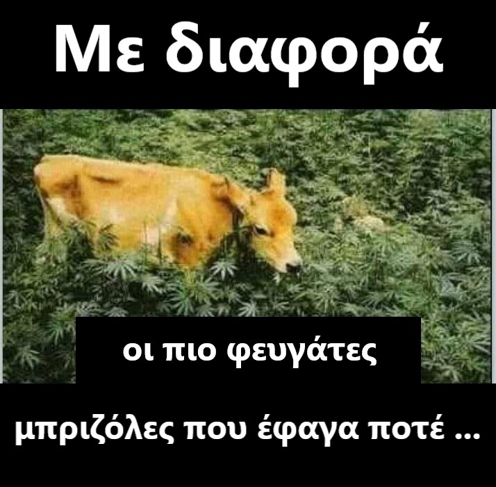 μπριζολες1.jpg