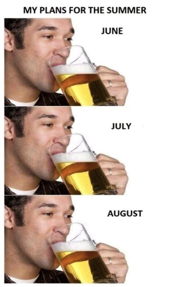 My plans for the summer.jpg