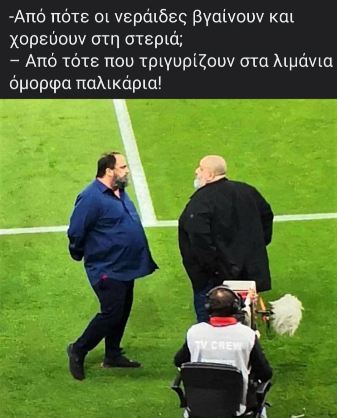 Νεράιδες στη στεριά.jpg