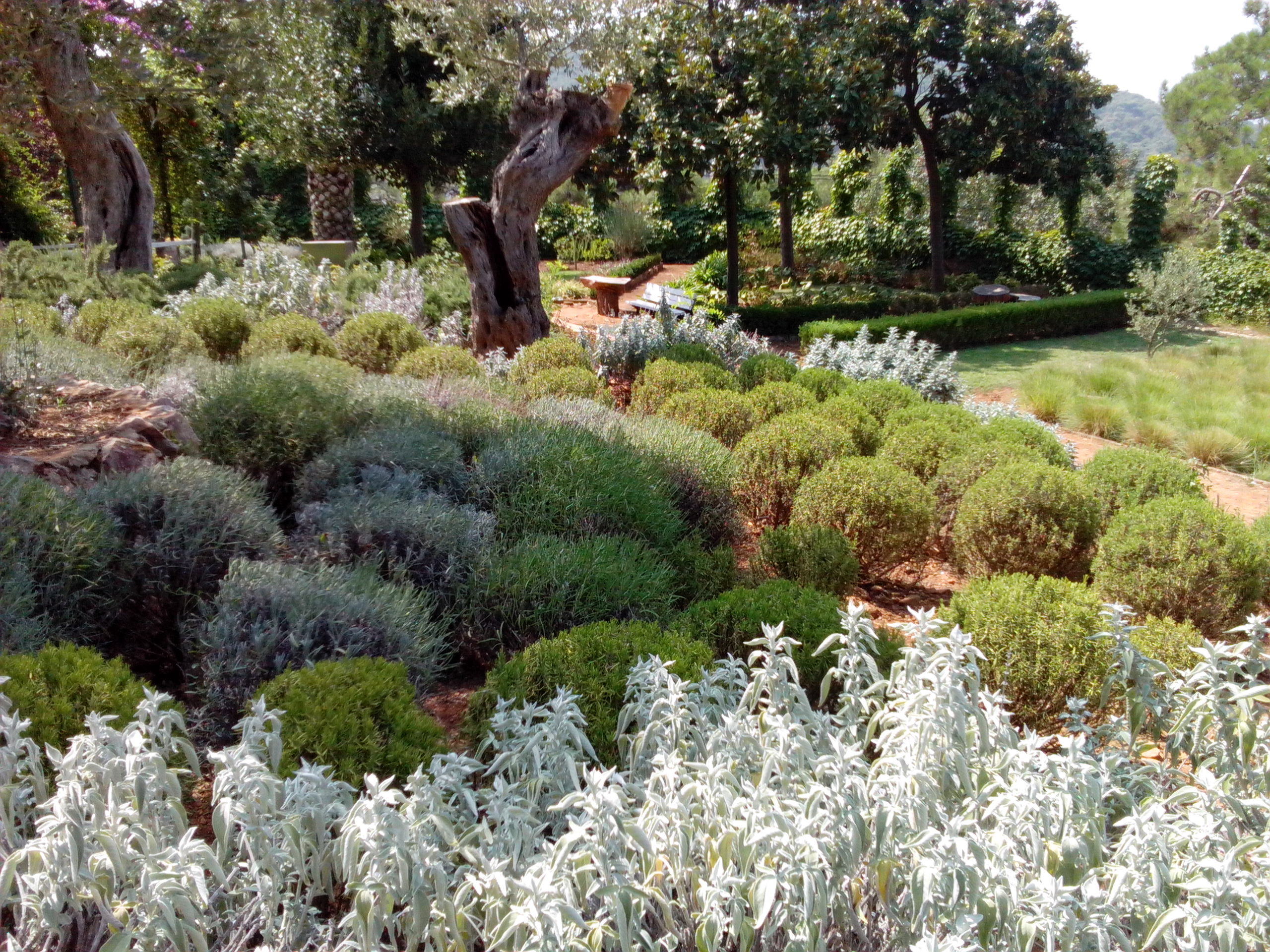 Organic-Herbal-reffers-to-Hellenic-Garden-Style.jpg