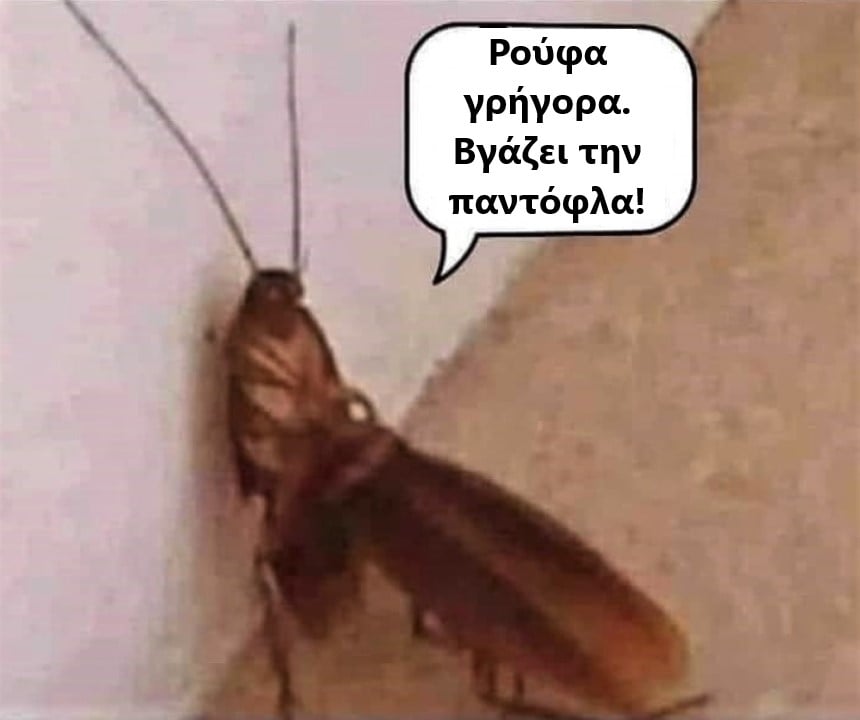 παντόφλα.jpg