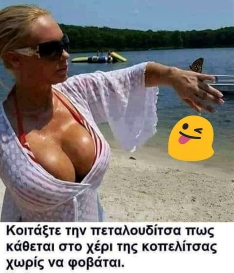 Πεταλουδίτσα.jpg