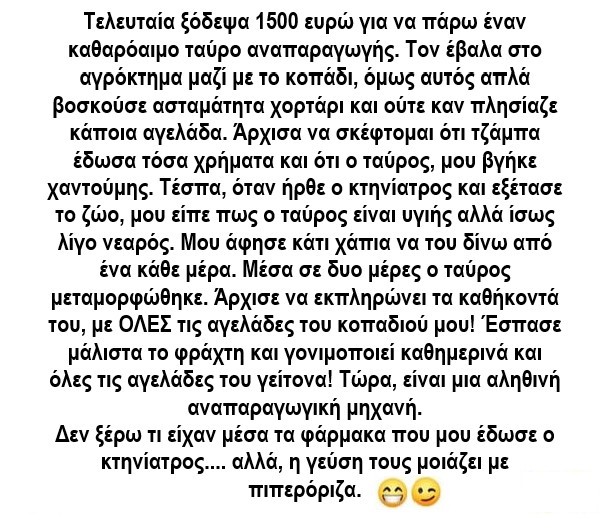 πιπεροριζα.jpg