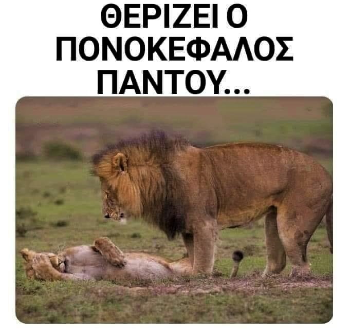 πονοκέφαλος.jpg