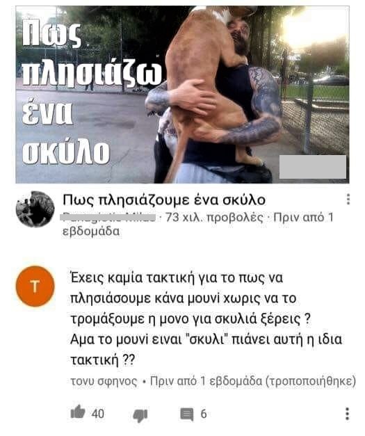 πως πλησιάζουμε ένα σκύλο.jpg