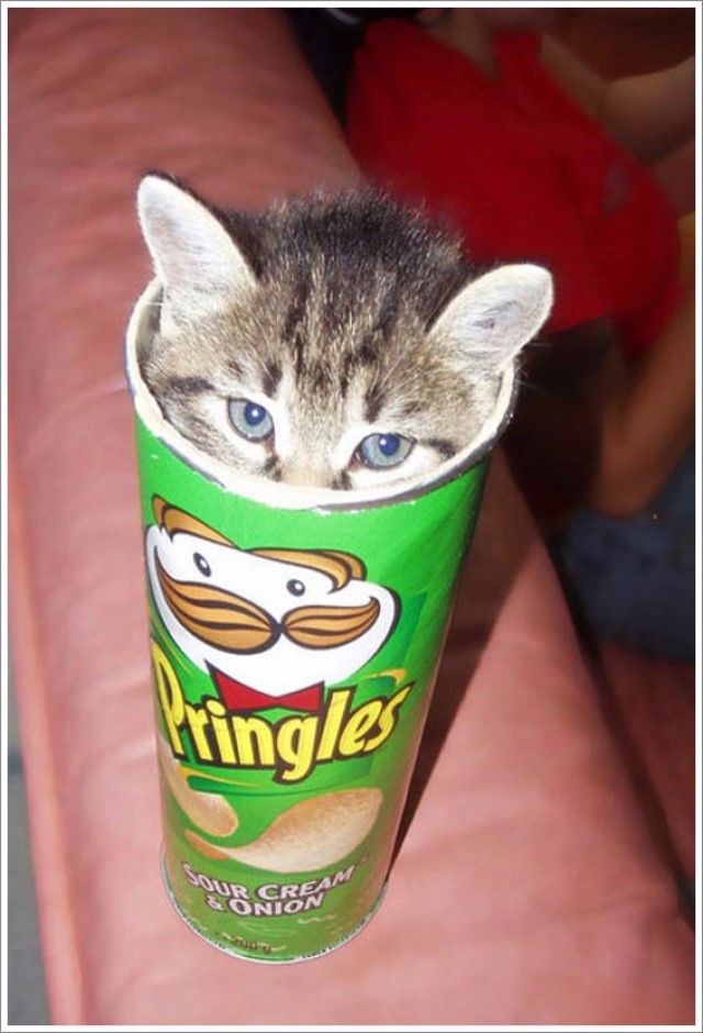 pringles.jpg