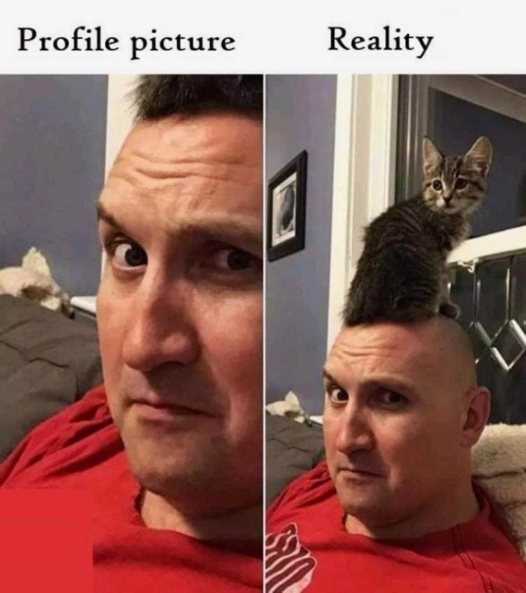 Profile pic VS reality.jpg