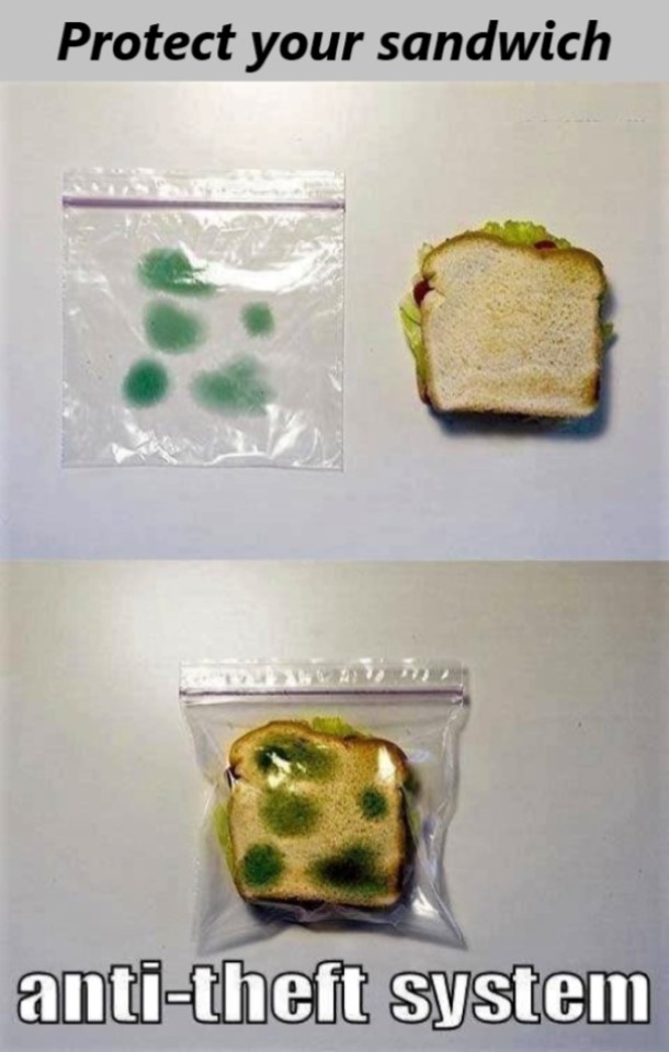 Protect your sandwich.jpg