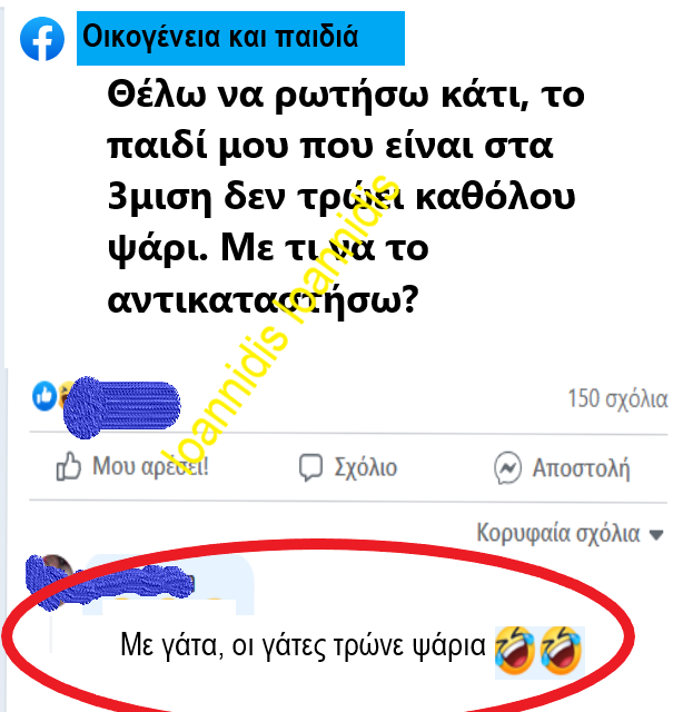 ψαρια γατα.png