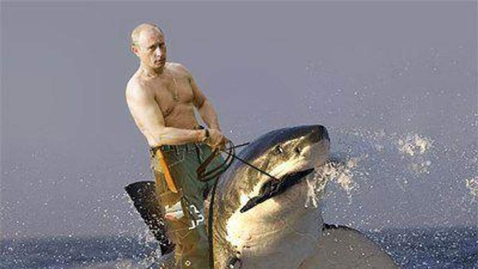 putin-riding-a-shark-1_3702545.jpg